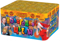 Новогодние цветы Фейерверк купить в Каменке Архангельской области | kamenkaarhangelskaya.salutsklad.ru