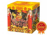 Красивая жизнь Фейерверк купить в Каменке Архангельской области | kamenkaarhangelskaya.salutsklad.ru