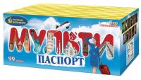 Мультипаспорт Салют купить в Каменке Архангельской области | kamenkaarhangelskaya.salutsklad.ru