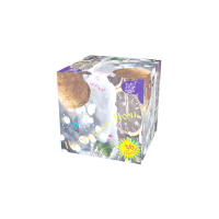 Новогодняя ночь Салют купить в Каменке Архангельской области | kamenkaarhangelskaya.salutsklad.ru