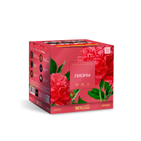 Пионы Салют купить в Каменке Архангельской области | kamenkaarhangelskaya.salutsklad.ru