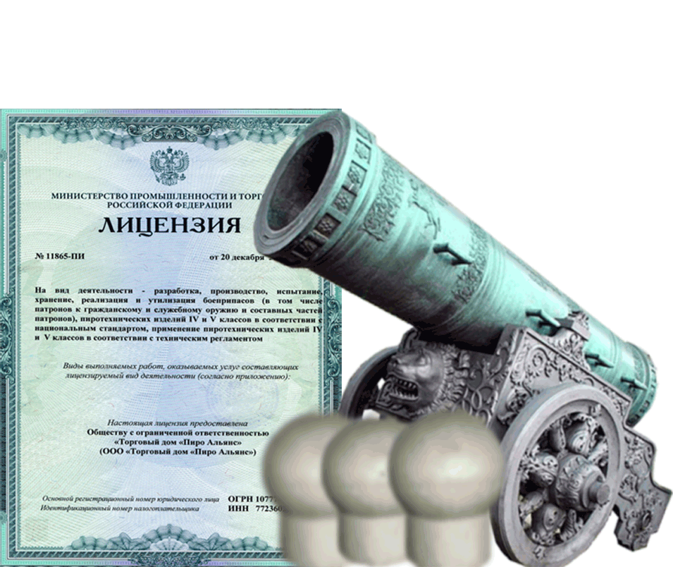 Заказать фейерверк на Новый Год - салют в Каменке Архангельской области