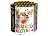 Счастье есть! Салют купить в Каменке Архангельской области | kamenkaarhangelskaya.salutsklad.ru