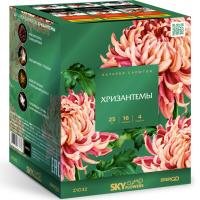 Хризантемы Фейерверк купить в Каменке Архангельской области | kamenkaarhangelskaya.salutsklad.ru