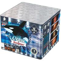 Косатка Фейерверк купить в Каменке Архангельской области | kamenkaarhangelskaya.salutsklad.ru