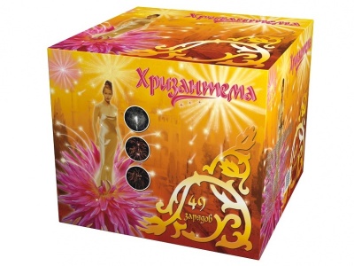 Хризантема Салют купить в Каменке Архангельской области | kamenkaarhangelskaya.salutsklad.ru