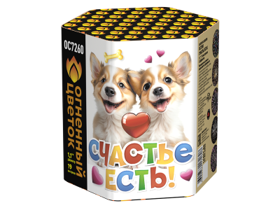 Счастье есть! Салют купить в Каменке Архангельской области | kamenkaarhangelskaya.salutsklad.ru