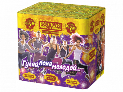 Гуляй, пока молодой Салют купить в Каменке Архангельской области | kamenkaarhangelskaya.salutsklad.ru